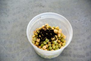It is not possible to over inoculate, so don't worry about how much is added to the peas.