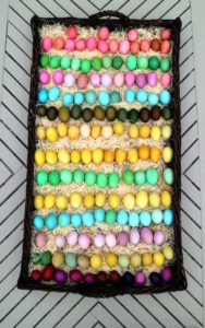 And here are some of the 260 hardboiled eggs I colored for the hunt. Not all were found by the way. We may be discovering eggs for some time. All these eggs were laid by my beautiful chickens.