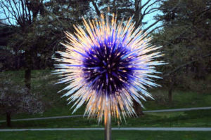 This is called Sapphire Star - such a bold contrast of color and form. Chihuly uses a variety of media, including paint, sculpture, polyvitro, glass, and neon.
