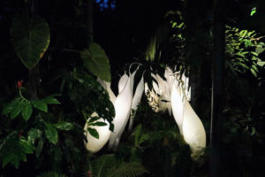 This creation is called White Belugas - in the Lowland Tropical Rain Forest - so graceful and delicate.