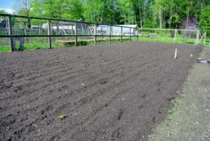 After the soil is completely amended, it's ready to create the garden beds. Building up the soil is the most important part of preparing a garden for growing vegetables and flowers. A deep, organically rich soil will encourage and support the growth of healthy root systems.