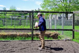 Ryan starts by tying jute twine from one side of the garden to the other - the twine will mark all the raised beds. Our beds are done differently this season in order to create more growing room for our vegetables.