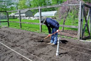 Using a simple spade, Wilmer begins to create the raised beds.