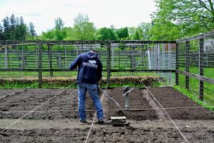 Then he rakes the soil until it is level. Raised beds warm more quickly in springtime and maintain better aeration and drainage.