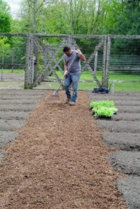 The mulch is made right here at the farm. Mulch is often used to retain soil moisture, regulate soil temperature, suppress weed growth, and for aesthetics. It looks so pretty between our garden beds.