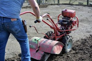 Any remnants of vegetables and other roots and vines were removed before tilling began. This makes it easier for the rototiller to do its job, and prevents anything from getting caught in the tines.