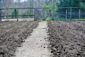Compost helps make the soil more absorbent and is a great way to add nutrients back into the earth. We always use rich, composted manure for all our garden beds, especially when top dressing them at the start of the season. It is a good way to ensure big, bountiful crops come summer.