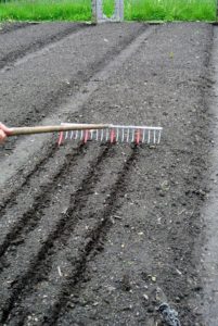 Ryan uses this bed preparation rake from Johnny’s Selected Seeds to create furrows in the soil. Hard plastic tubes slide onto selected teeth of the rake to mark the rows. http://www.johnnyseeds.com/