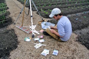 Now, Ryan is labeling wooden markers for some of our other crops, such as beets, carrots, and parsley. I am very fortunate to have the room to plant so many different vegetables.