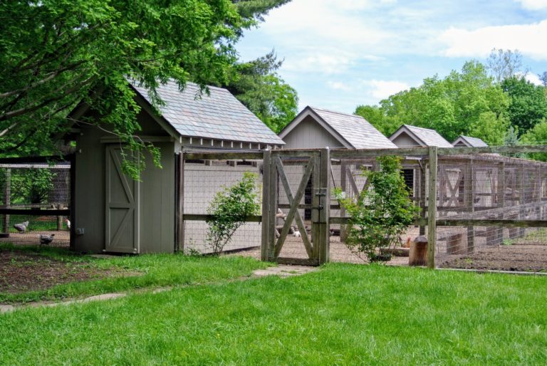 Martha Stewart Chicken Coop Image to u