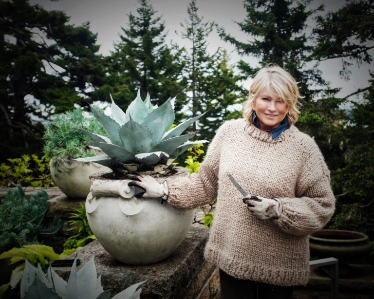 Planting the Skylands Terrace 2017 - The Martha Stewart Blog