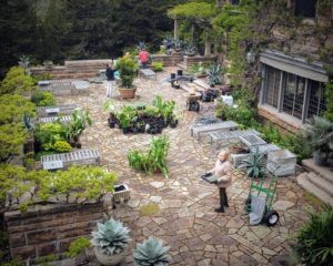 It's always a busy, but fun weekend at Skylands when we fill the planters with beautiful specimens. Look at all the plants waiting - agaves, alocasias, ferns, begonias, and so many more. This day was cool, but still very comfortable. (Photo by Douglas Friedman @thefacinator)