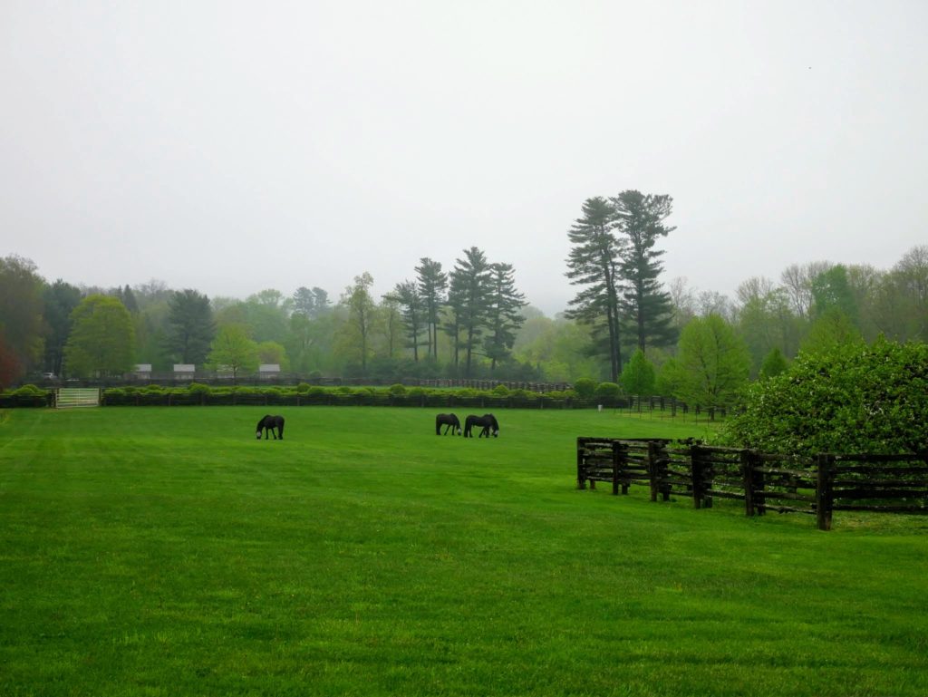 An Early Morning Tour Of My Farm - The Martha Stewart Blog