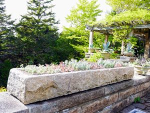 This is the stone trough I bought at Trade Secrets several years ago. It has worked perfectly here at Skylands, and looks beautiful planted up with succulents. This year, I wanted it planted in color blocks with pink gravel - the same pink gravel that covers the carriage roads at Skylands.