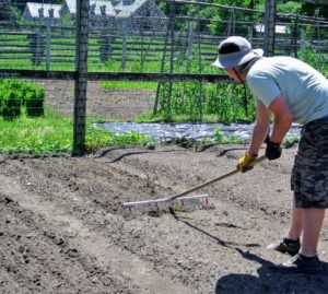 Ryan goes over several beds, planning exactly where each crop will go.