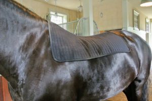 Sarah loves this saddle pad. It's the Western Therapeutic Warmth Therapy Horse Saddle Pad by Back on Track USA. It's made of polypropylene combined with state-of-the-art Weltex fabric, which is infused with ceramic powder to reflect the horse’s natural body warmth.