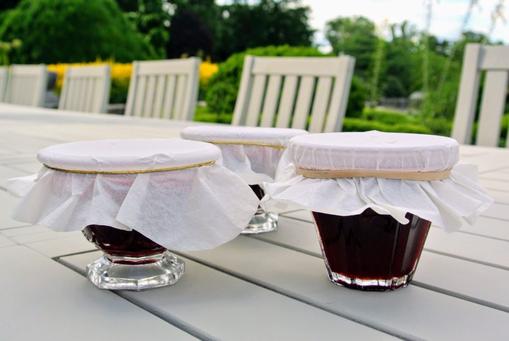 Picking Currants - The Martha Stewart Blog