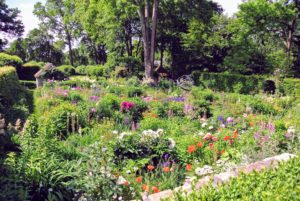 The garden still has a many pretty flowers and colors - the poppies, and alliums, and irises. When I designed the gardens, I considered structure, texture, and varied plant material. It is so full and gorgeous.