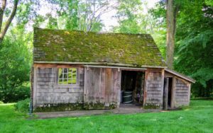 Here is my old garden shed - it is where I said something very special - do you know what phrase I coined in this structure? If not, listen to my Facebook LIVE show by clicking on the link in the introduction above.