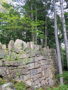 Back at Skylands, here is a row of Rockefeller's teeth on the edge of the granite ledges. These teeth were part of Jens Jensen's design plan for the home. (Photo by Kate Berry @kateberryberry on Instagram)