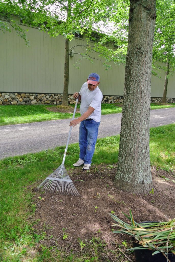 The Martha Stewart Blog : Blog Archive Weeding Around the Farm - The ...