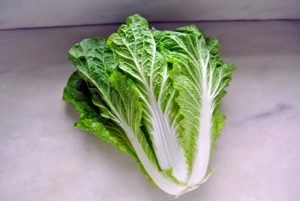 Here is a large Chinese cabbage - it is so pretty. Chinese cabbage is among the highest nutritionally ranked vegetables too, and provides many nutrients including omega-3s, and the antioxidant mineral zinc.
