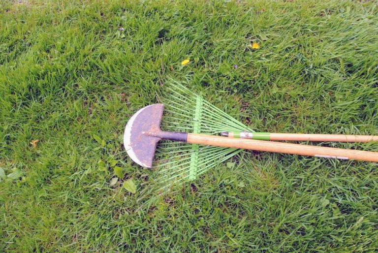 The Martha Stewart Blog : Blog Archive Weeding Around the Farm - The ...