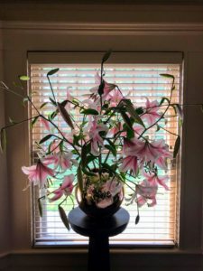 I love the pink tones of these lilies - they look so pretty in front of this window.