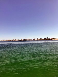 Kelly also captured this photo - the Sandy Neck Beach colony and light house.