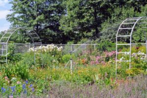 In my flower cutting garden, the tripod is angled to spray just above the tallest plantings. For flowers, one to two watering sessions per week are usually sufficient.