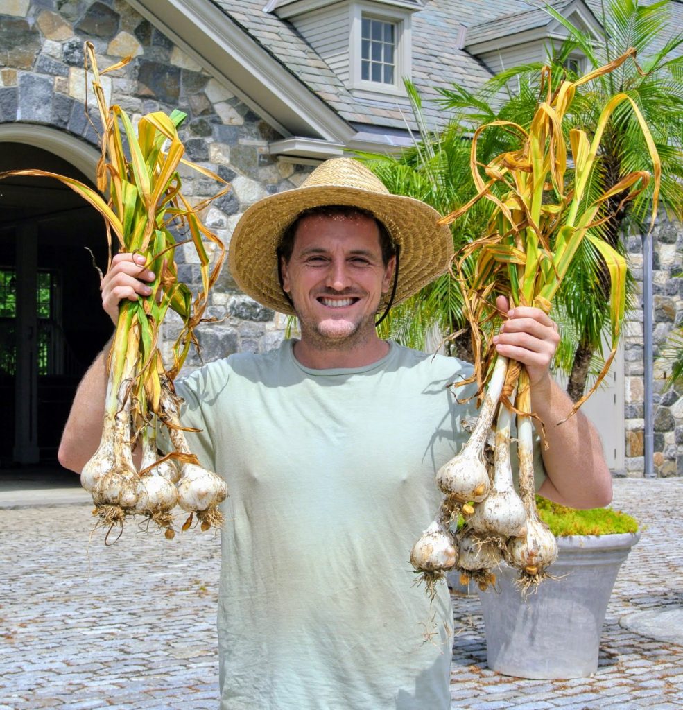 Harvesting Garlic at the Farm - The Martha Stewart Blog