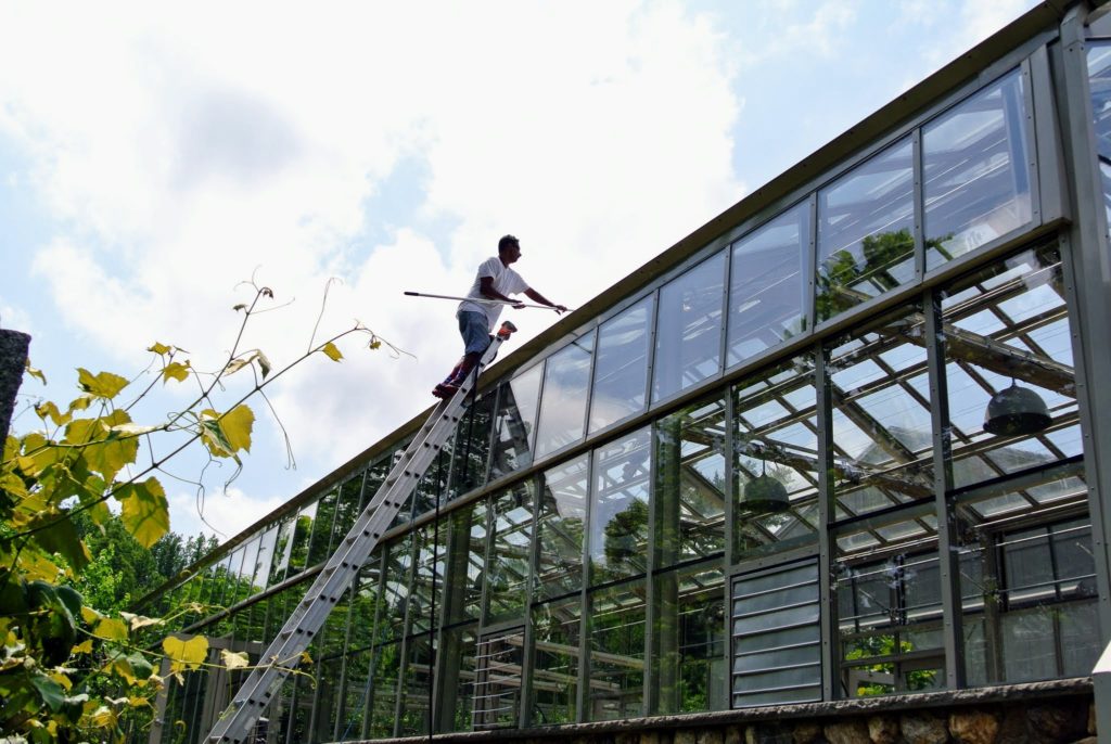 Cleaning the Vegetable Greenhouse Windows - The Martha Stewart Blog