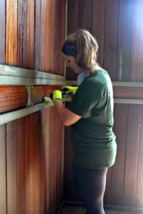 The lower wooden walls, which often get kicked and marred by hooves, are scrubbed clean. Our stable intern, Lily, is such a hard worker.