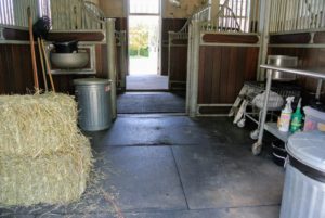 The spare stall is used for keeping various supplies - this was also emptied and cleaned.
