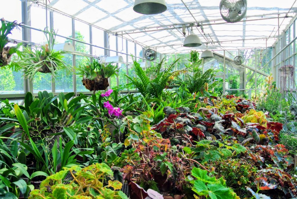 Cleaning the Main Greenhouse Windows - The Martha Stewart Blog