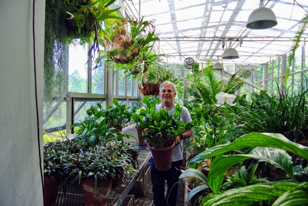 Cleaning the Main Greenhouse Windows - The Martha Stewart Blog