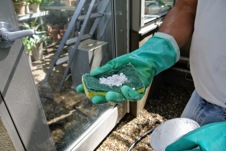 Cleaning the Main Greenhouse Windows The Martha Stewart Blog