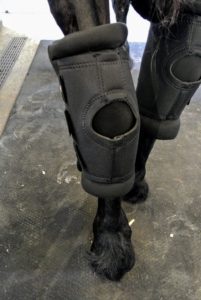 The boots fasten around the hock and the exterior still has a hole, but the inside padding does not, so it keeps the hock point covered.