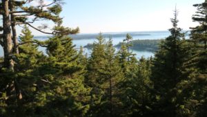 This view is from the upper terrace. Sutton Island is in the distance – a small, private island south of where I am on Mount Desert. One never tires of seeing this. It was a very warm day, but still beautiful for a party.