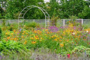 Every group experiences a different tour when they visit the farm depending on what is blooming at the time. Although summer officially ends this week, there is still lots of color in this garden.