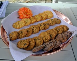 For every walking tour, I always provide a fun treat - these are homemade cookies made by the chefs in our test kitchen. It was accompanied by refreshing cups of cider made from apples grown right here that I pressed myself last weekend.
