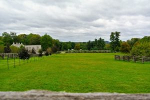 Here is a view looking down toward the stable and the four chicken coop houses in the distance - it is among the most favorite views on the farm.