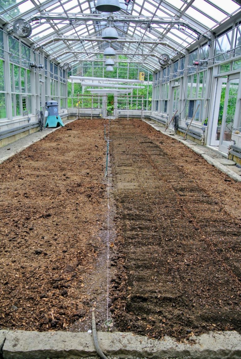 Preparing My Vegetable Greenhouse for Planting The Martha Stewart Blog