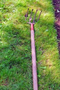 I also like these long-handled four-tine cultivators. They are great for breaking soil and weeding between plantings in the garden.