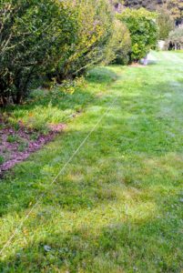 Gardener's twine and small stakes are used to mark the new edge of this bed. The twine also serves as a guide for the motorized sod cutter.
