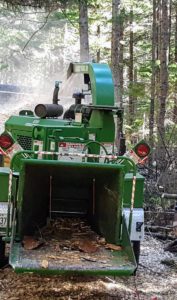 More felled trees are fed through the chipper to create wood chips.