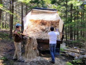 Once the dump truck is full, it is positioned on a section of bare carriage road. Rick and Chris unload some of the chips and spread it across the area.