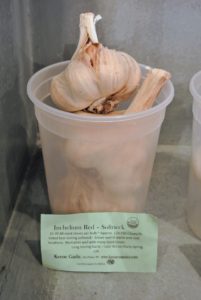 Some of the varieties we're planting this year include Inchelium Red, a national softneck taste-test winner. It's a mild flavored garlic that's great baked, roasted, and nicely blended with mashed potatoes.