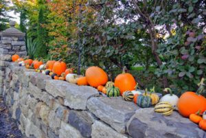 We lined dozens of pumpkins and gourds along the front stone wall - I love this palette of fall colors.