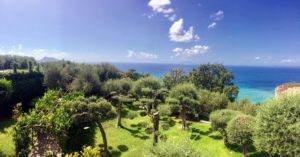 Ryan stayed in a villa surrounded by all these beautiful olive trees. In fact, many of the terraced hills that rise up above Sorrento are planted with olive trees.